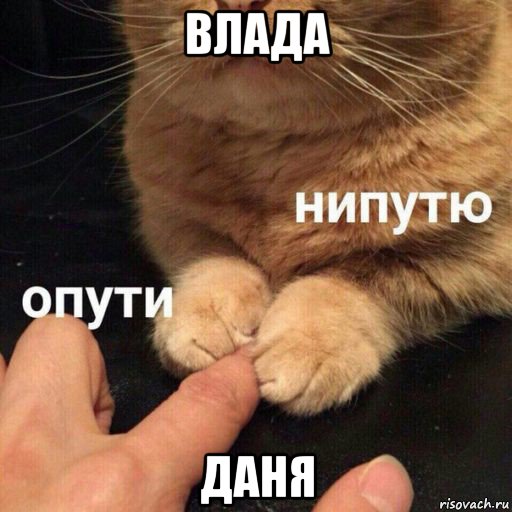 влада даня