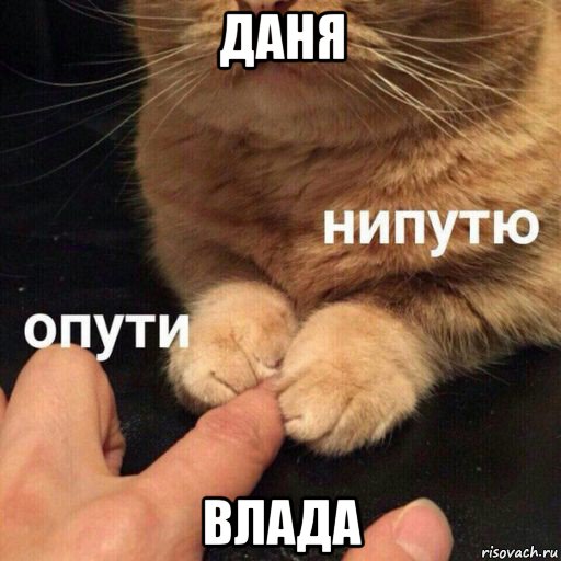 даня влада