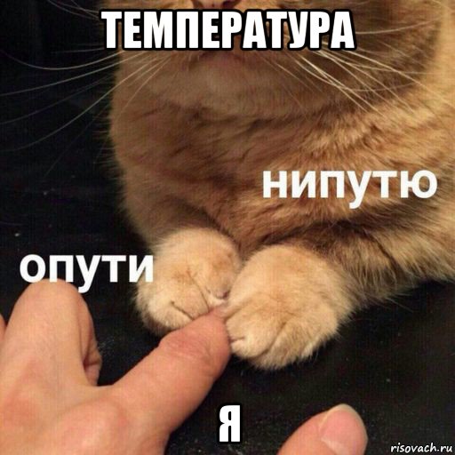 температура я