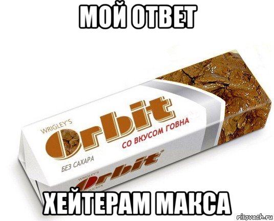 мой ответ хейтерам макса, Мем орбит