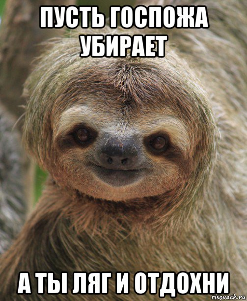 пусть госпожа убирает а ты ляг и отдохни, Мем Отдохни ленивец