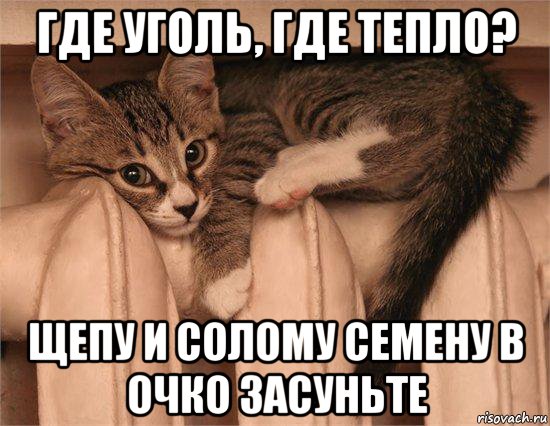 где уголь, где тепло? щепу и солому семену в очко засуньте