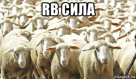 rb сила 