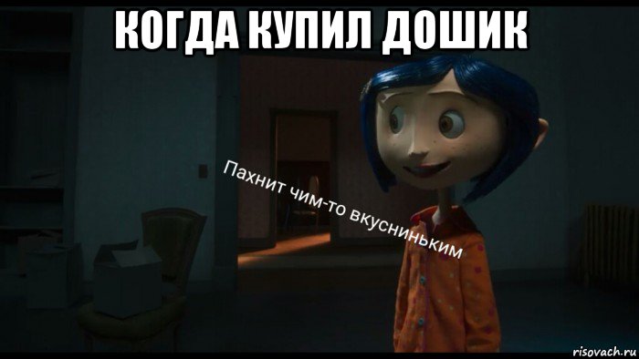 когда купил дошик 