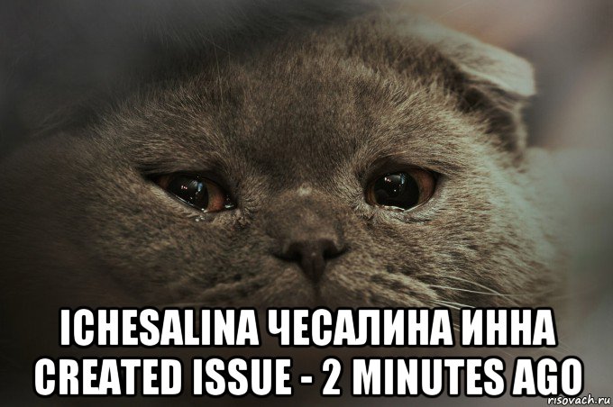  ichesalina чесалина инна created issue - 2 minutes ago