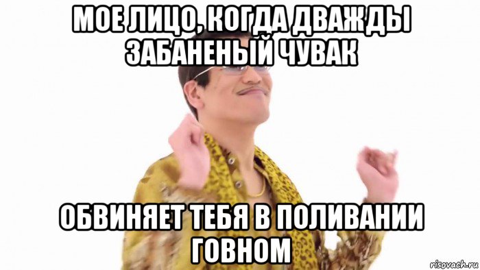 мое лицо, когда дважды забаненый чувак обвиняет тебя в поливании говном, Мем    PenApple