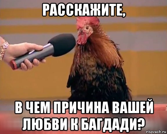 расскажите, в чем причина вашей любви к багдади?