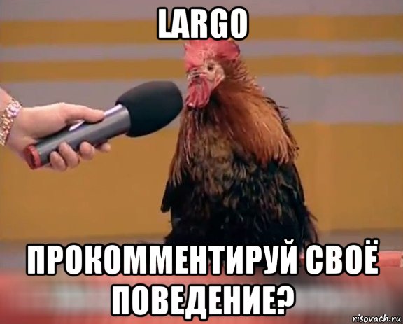 largo прокомментируй своё поведение?