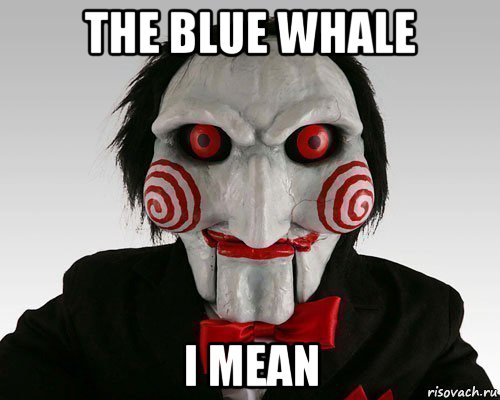 the blue whale i mean