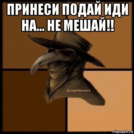 принеси подай иди на... не мешай!! , Мем Plague doctor