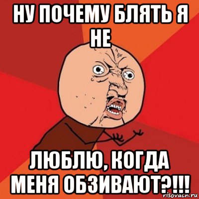 ну почему блять я не люблю, когда меня обзивают?!!!, Мем Почему