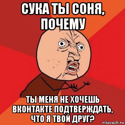 сука ты соня, почему ты меня не хочешь вконтакте подтверждать, что я твой друг?, Мем Почему