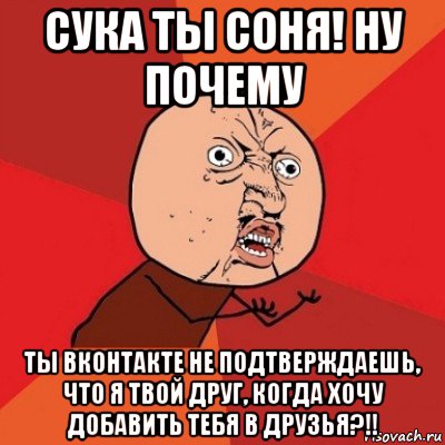 сука ты соня! ну почему ты вконтакте не подтверждаешь, что я твой друг, когда хочу добавить тебя в друзья?!!, Мем Почему