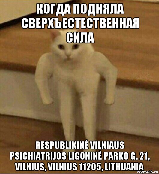 когда подняла сверхъестественная сила respublikinė vilniaus psichiatrijos ligoninė parko g. 21, vilnius, vilnius 11205, lithuania, Мем  Полукот