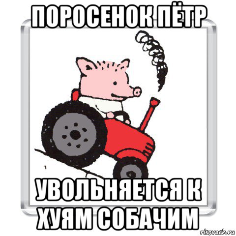поросенок пётр увольняется к хуям собачим, Мем ПОРОСЕНОК ПЕТР