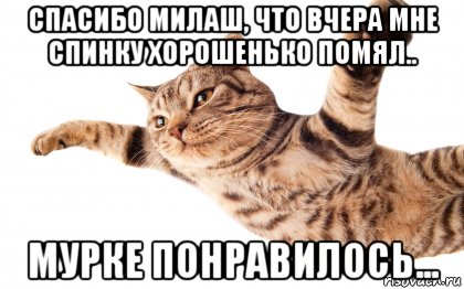 спасибо милаш, что вчера мне спинку хорошенько помял.. мурке понравилось..., Мем После массажа 