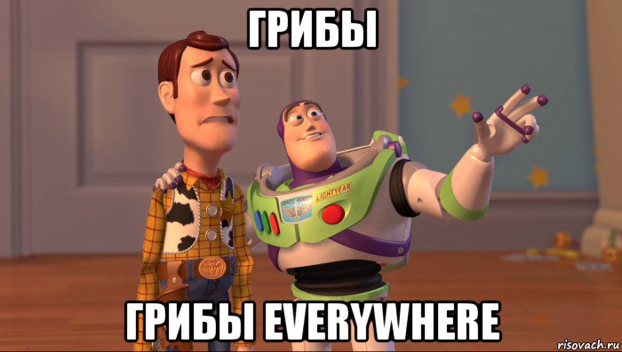 грибы грибы everywhere, Мем Они повсюду (История игрушек)