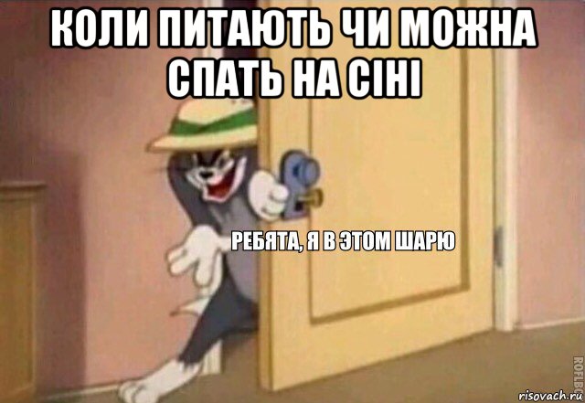 коли питають чи можна спать на сіні , Мем    Ребята я в этом шарю