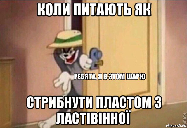 коли питають як стрибнути пластом з ластівінної, Мем    Ребята я в этом шарю