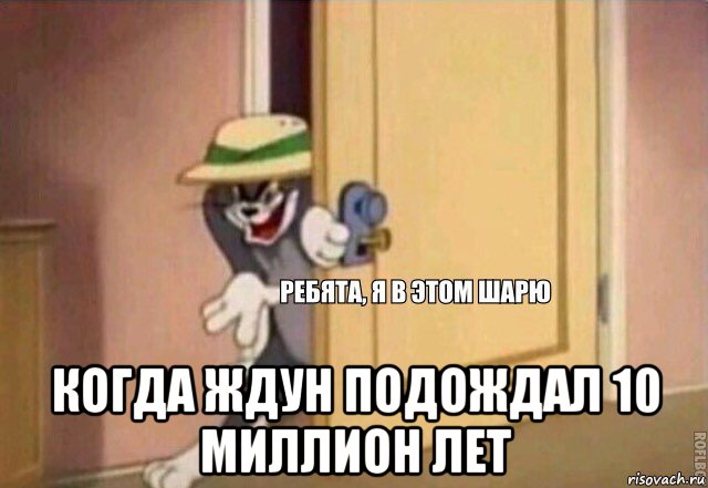  когда ждун подождал 10 миллион лет, Мем    Ребята я в этом шарю