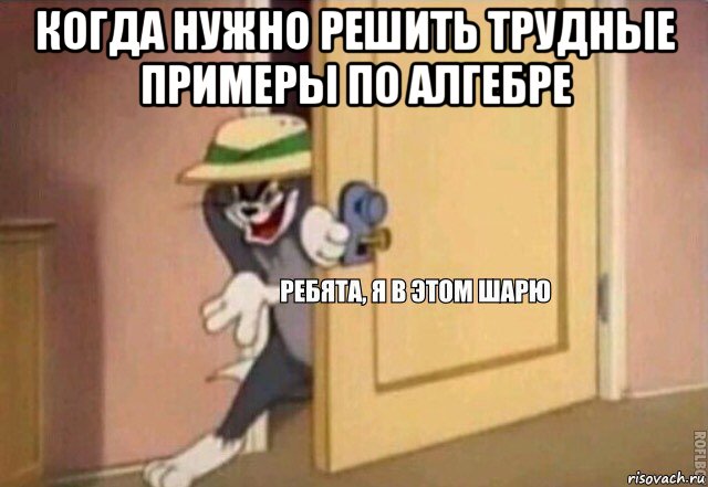 когда нужно решить трудные примеры по алгебре , Мем    Ребята я в этом шарю