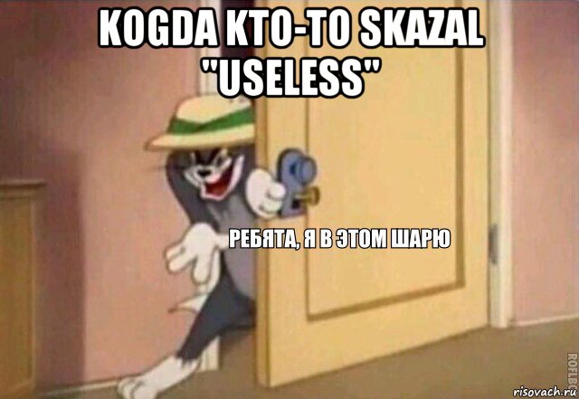 kogda kto-to skazal "useless" , Мем    Ребята я в этом шарю