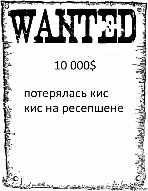 10 000$ потерялась кис кис на ресепшене, Комикс розыск