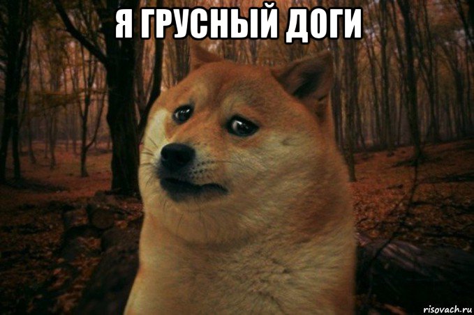 я грусный доги , Мем SAD DOGE