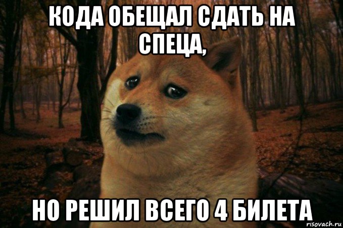 кода обещал сдать на спеца, но решил всего 4 билета, Мем SAD DOGE