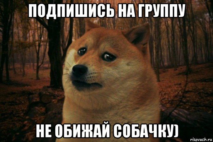 подпишись на группу не обижай собачку), Мем SAD DOGE