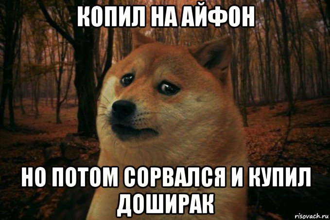 копил на айфон но потом сорвался и купил доширак, Мем SAD DOGE