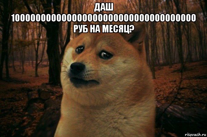 даш 100000000000000000000000000000000000 руб на месяц? , Мем SAD DOGE