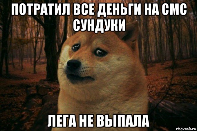 потратил все деньги на смс сундуки лега не выпала, Мем SAD DOGE