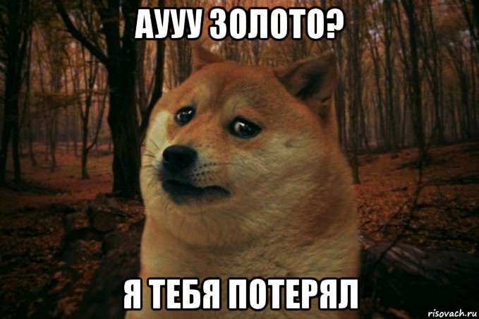 аууу золото? я тебя потерял, Мем SAD DOGE