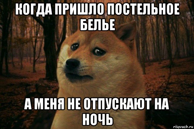 когда пришло постельное белье а меня не отпускают на ночь, Мем SAD DOGE