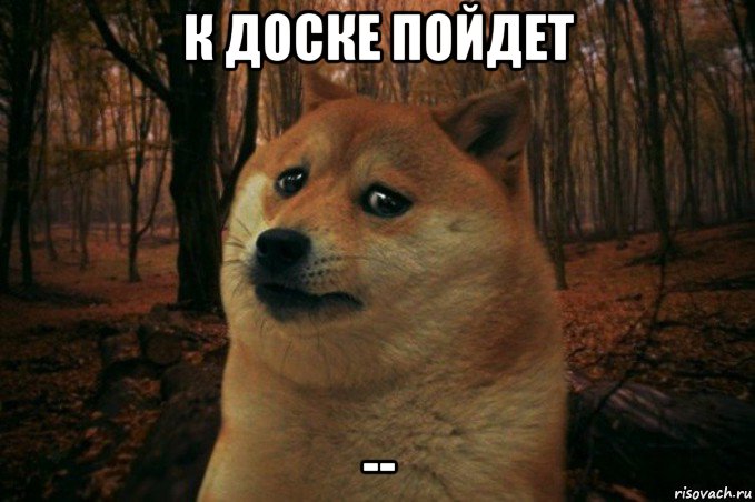 к доске пойдет --, Мем SAD DOGE