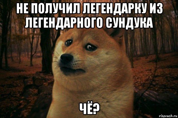 не получил легендарку из легендарного сундука чё?, Мем SAD DOGE