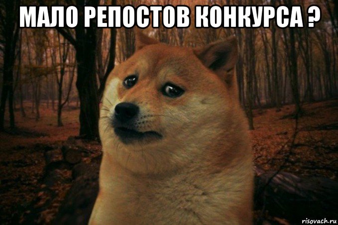 мало репостов конкурса ? , Мем SAD DOGE