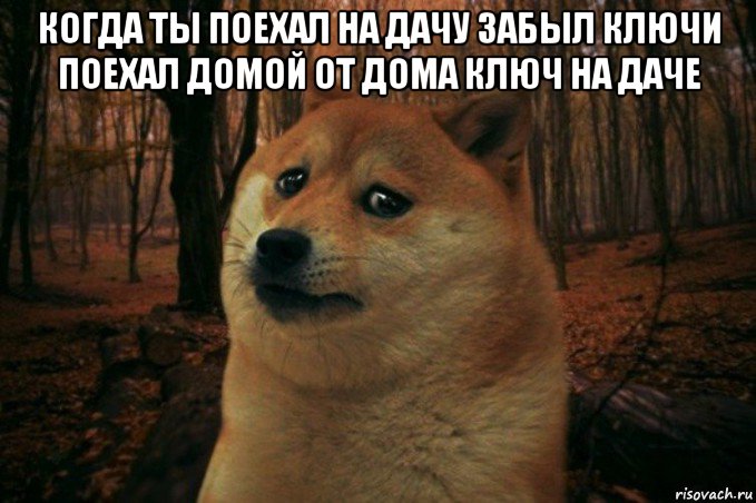 когда ты поехал на дачу забыл ключи поехал домой от дома ключ на даче , Мем SAD DOGE