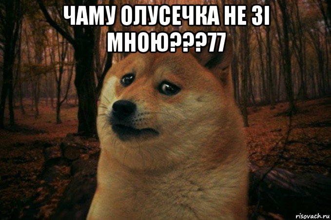 чаму олусечка не зі мною???77 , Мем SAD DOGE