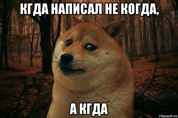 кгда написал не когда, а кгда, Мем SAD DOGE