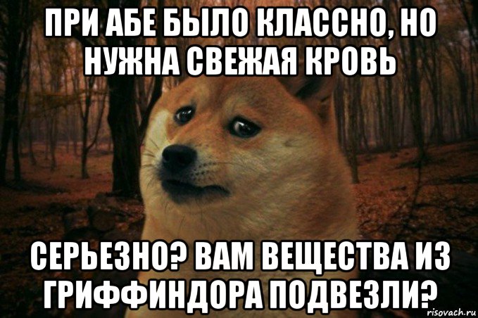 при абе было классно, но нужна свежая кровь серьезно? вам вещества из гриффиндора подвезли?, Мем SAD DOGE