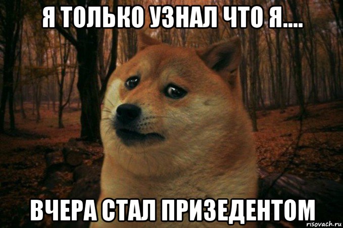 я только узнал что я.... вчера стал призедентом, Мем SAD DOGE