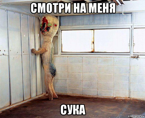 смотри на меня сука