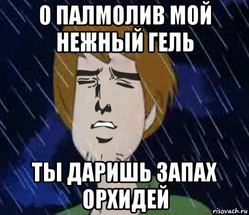 о палмолив мой нежный гель ты даришь запах орхидей