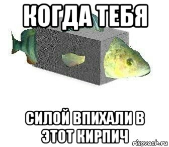 когда тебя силой впихали в этот кирпич