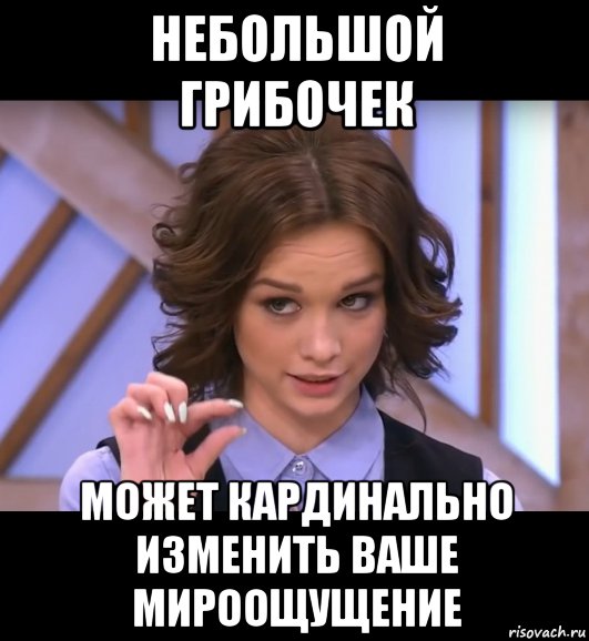 небольшой грибочек может кардинально изменить ваше мироощущение