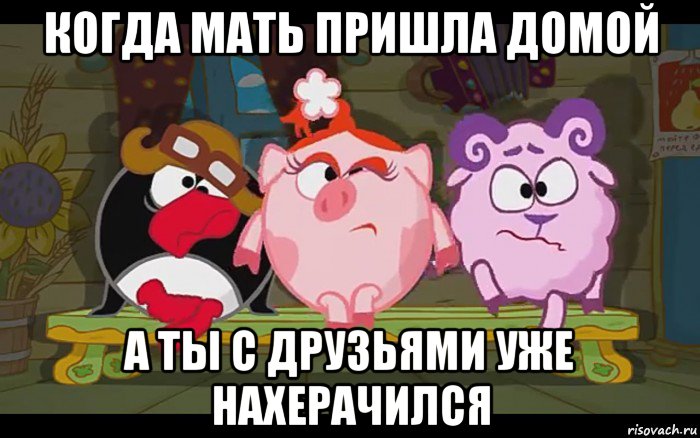 когда мать пришла домой а ты с друзьями уже нахерачился