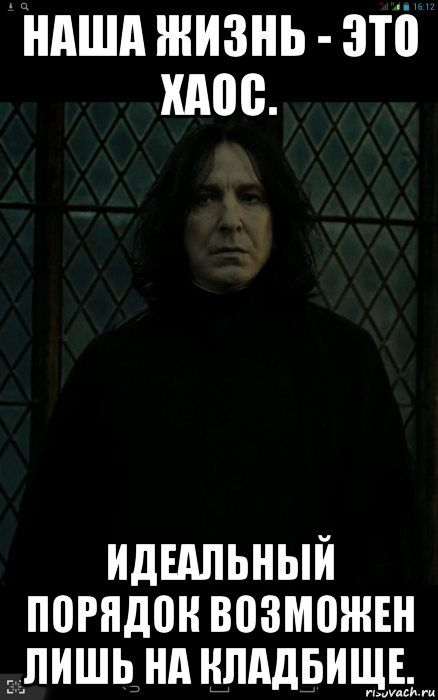 наша жизнь - это хаос. идеальный порядок возможен лишь на кладбище., Мем Снейп