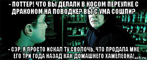 - поттер! что вы делали в косом переулке с драконом на поводке? вы с ума сошли? - сэр, я просто искал ту сволочь, что продала мне его три года назад как домашнего хамелеона!, Мем Снейп